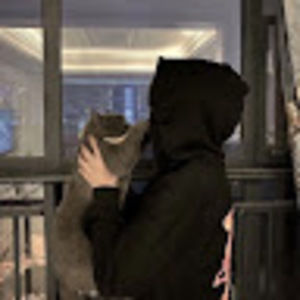 Meet your Posher, Grey